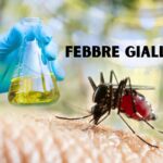 febbre gialla