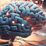 Il cervello elimina informazioni ogni giorno: ecco perché