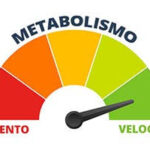 Come Migliorare il Metabolismo: Strategie Efficaci per Accelerare il Tuo Benessere