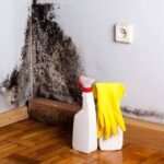 I Migliori Rimedi contro la Muffa: Guida Completa per una Casa Sana e Sicura