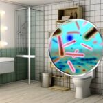 Come Igienizzare il Bagno: Guida Completa per un'Igiene Microbiologica Efficace