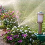 Come Annaffiare Correttamente le Piante: Guida Completa per un Orto e Giardino Sani e Produttivi