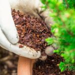Concimi Naturali Fai da Te: Guida Completa per un Orto Sano e Sostenibile