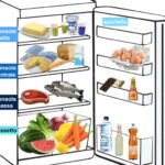 Cosa Sapere Prima di Conservare il Cibo in Frigorifero: Guida Completa alla Sicurezza Alimentare
