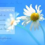 Il Linguaggio Nascosto dei Fiori: La Floriografia tra Simbolismo, Storia e Scienza