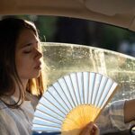 metodo giapponese per resistere al caldo in auto