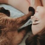 Toxoplasma e cervello