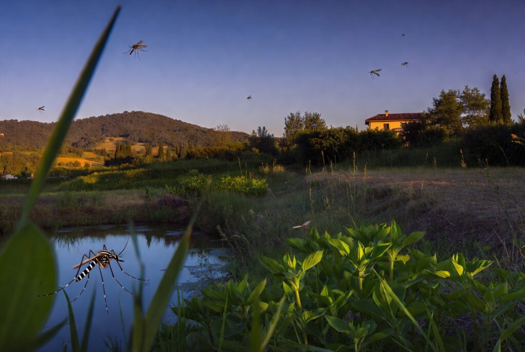 West Nile in Italia: sintomi da non sottovalutare e come proteggersi dalle zanzare