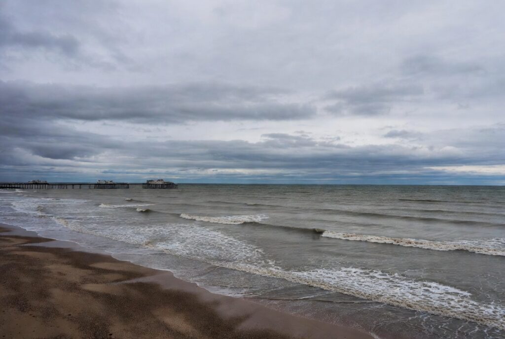 Acqua di mare contaminata da un parassita