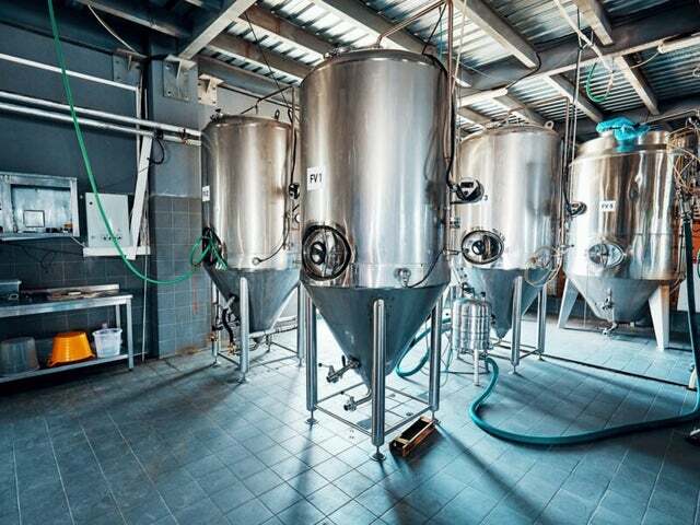 fermentazione di precisione