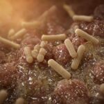 Faecalibacterium prausnitzii: il biomarcatore della salute intestinale?