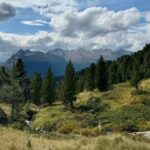 il profumo del bosco