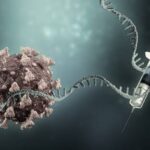Vaccini a mRNA: quale ruolo ha la risposta immunitaria innata?