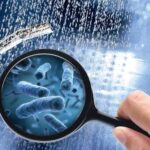 Legionella pneumophila: come sopravvive negli impianti idrici