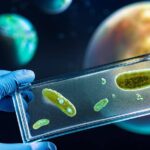 Esistono microbi extraterrestri? Cosa dice la ricerca