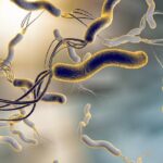 Batterio che entra nel corpo