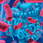 Feci, muco e microbiota: come vengono studiati i microrganismi intestinali
