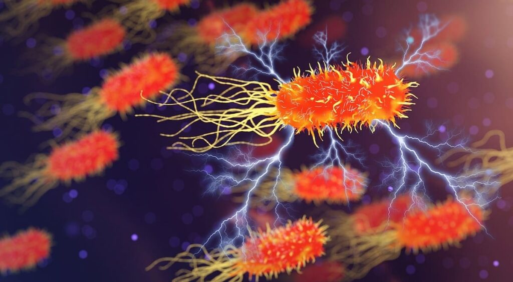 MFC: microrganismi E bioelettricità