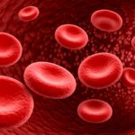 Talassemia: cos'è la malattia ereditaria del sangue