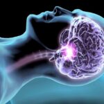 attività cerebrale e sonno