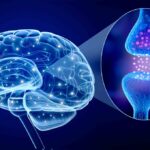 Atassia di Friedreich: la malattia genetica che può compromettere coordinazione ed equilibrio