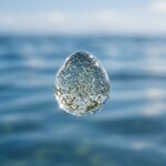 Quanti batteri ci sono in una goccia d’acqua marina: densità microbica e ecosistema oceanico