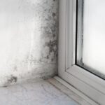 Perché la casa si riempie di muffa e umidità in autunno e quali sono i rischi per la salute