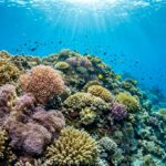 Il lato invisibile della barriera corallina: il microbioma che regge l’ecosistema